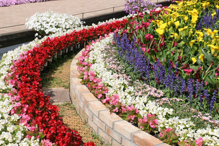 Vibrant curved flower beds with colourful seasonal planting and brick edging