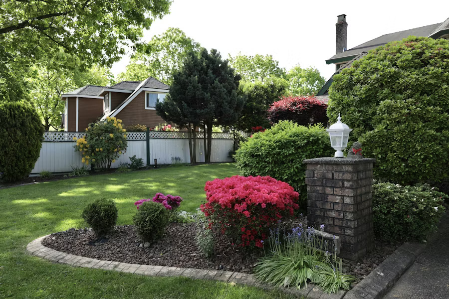 Garden makeover with fresh planting and lush green beds